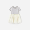 Grey Knit Tulle Dress
