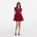 Burgundy Lace Collared Mini Dress