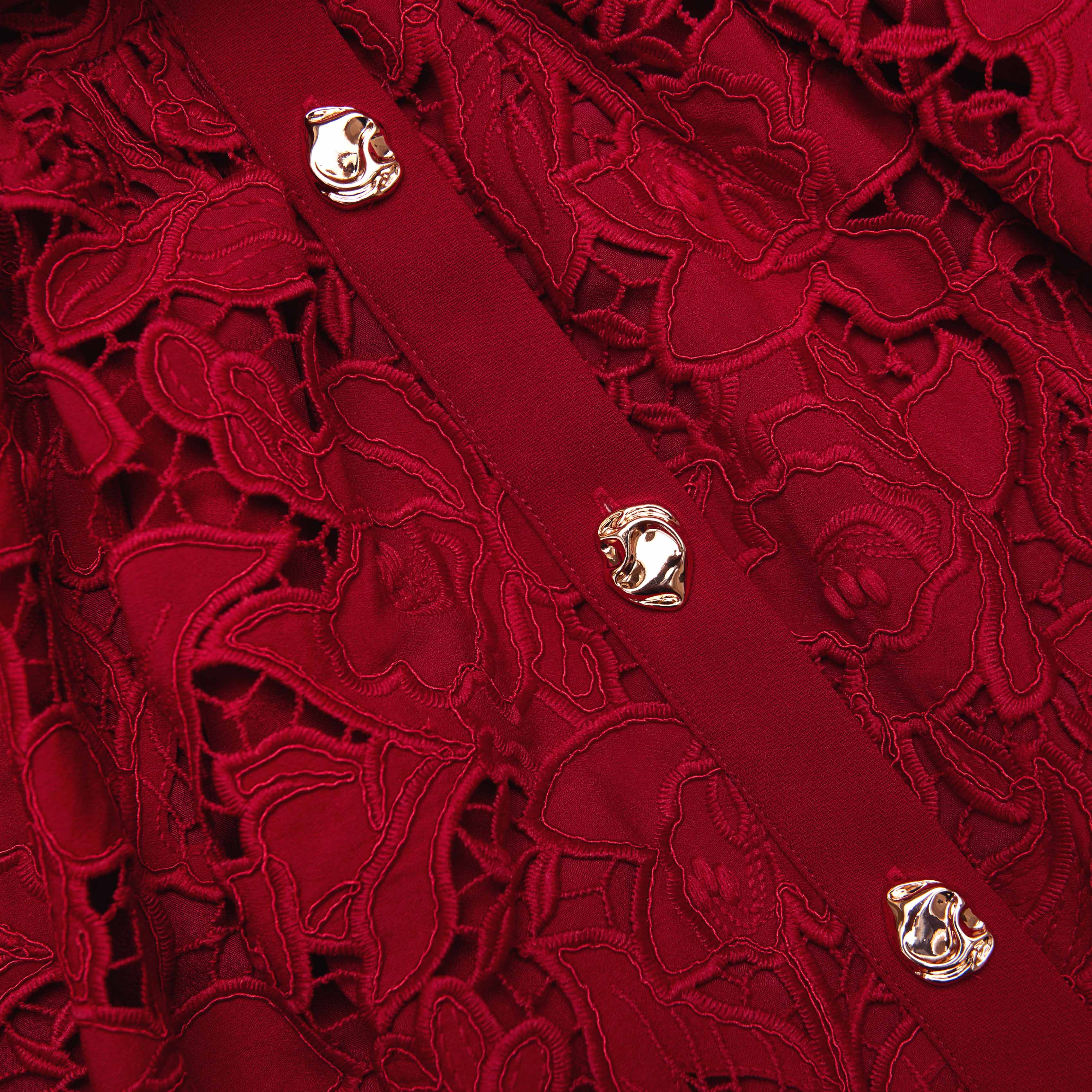 Burgundy Lace Collared Mini Dress