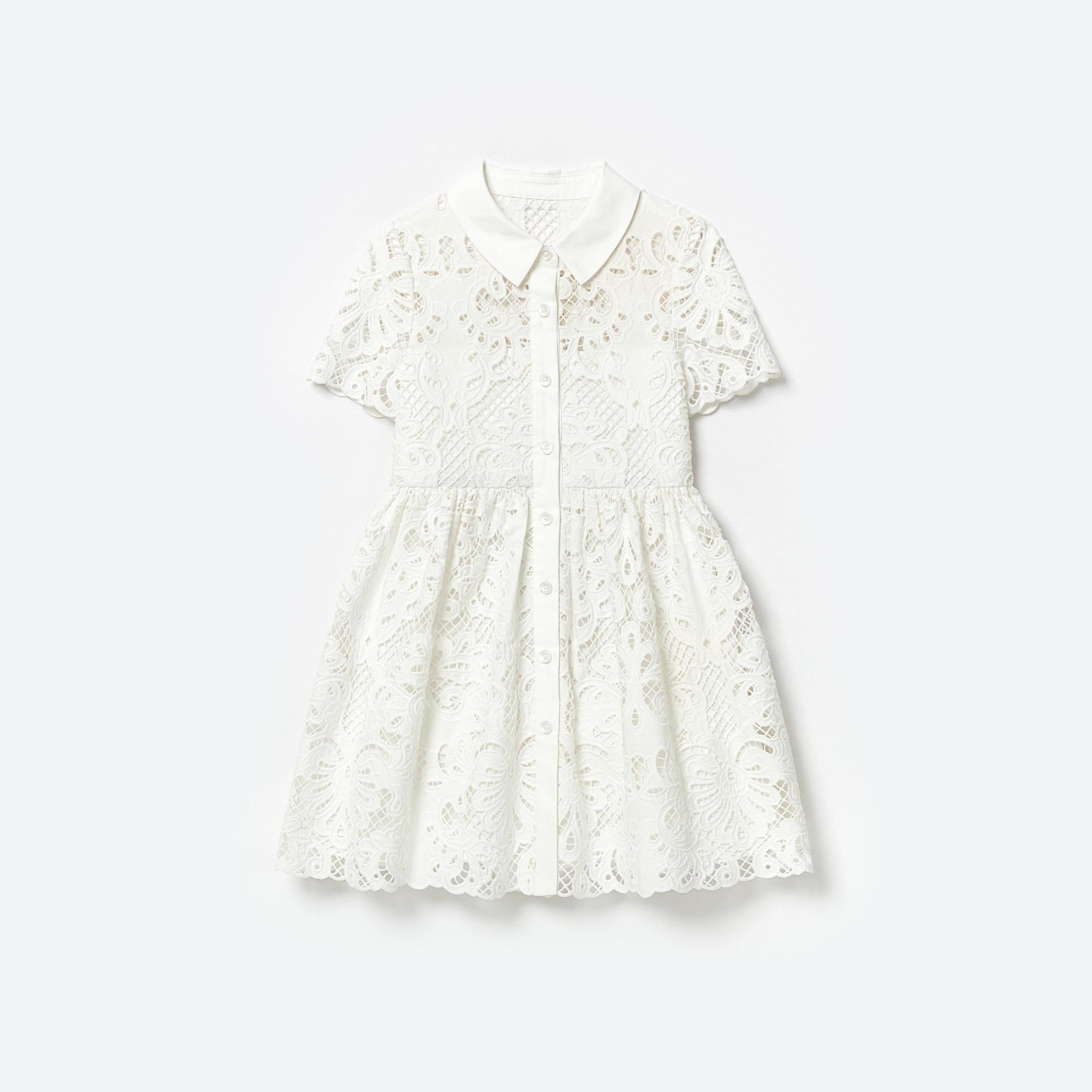 White Cotton Lace Collar Mini Dress