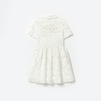 White Cotton Lace Collar Mini Dress