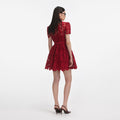 Burgundy Lace Collared Mini Dress